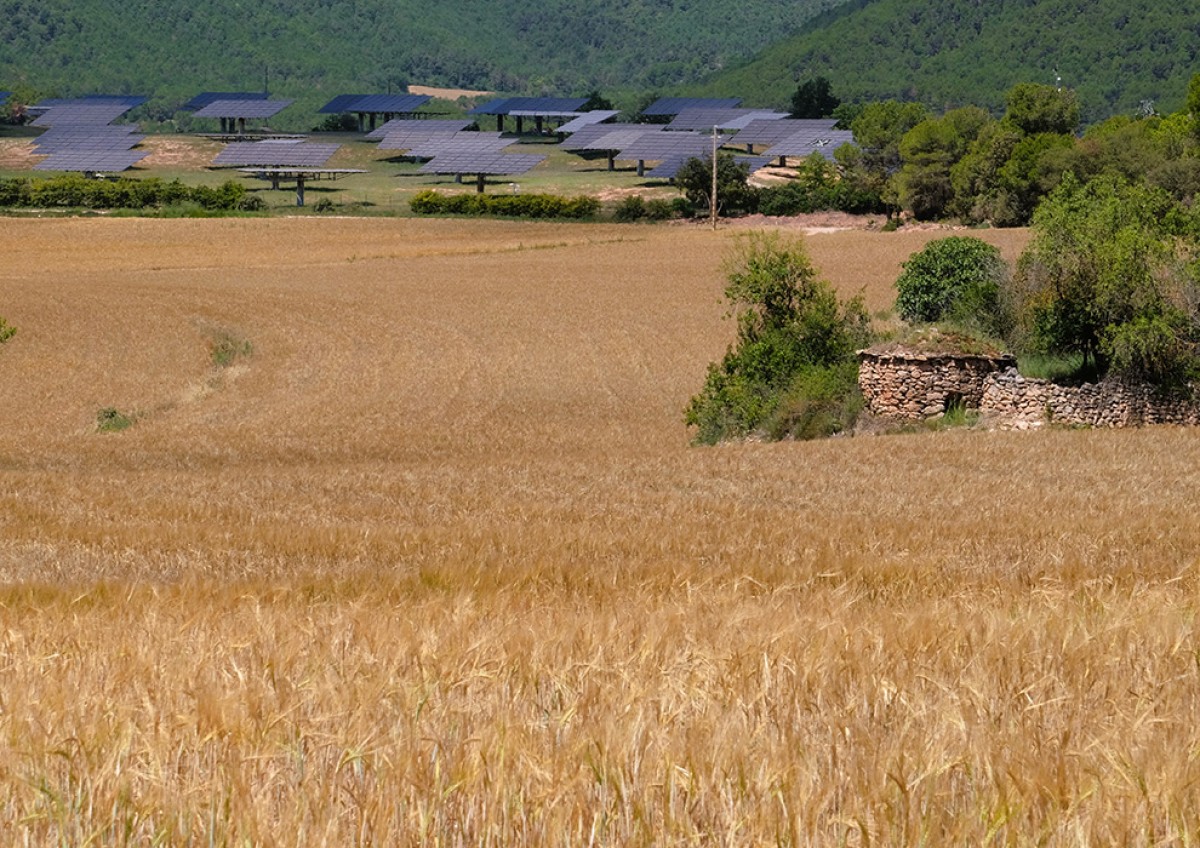 Imatge il·lustrativa