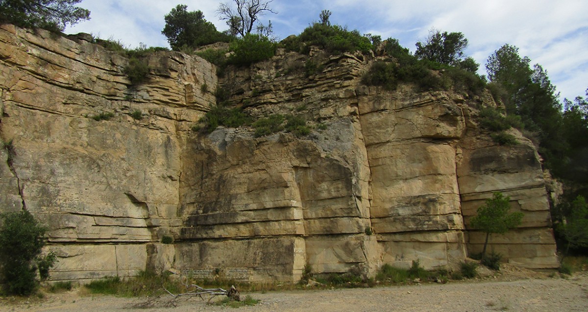 Imatge il·lustrativa