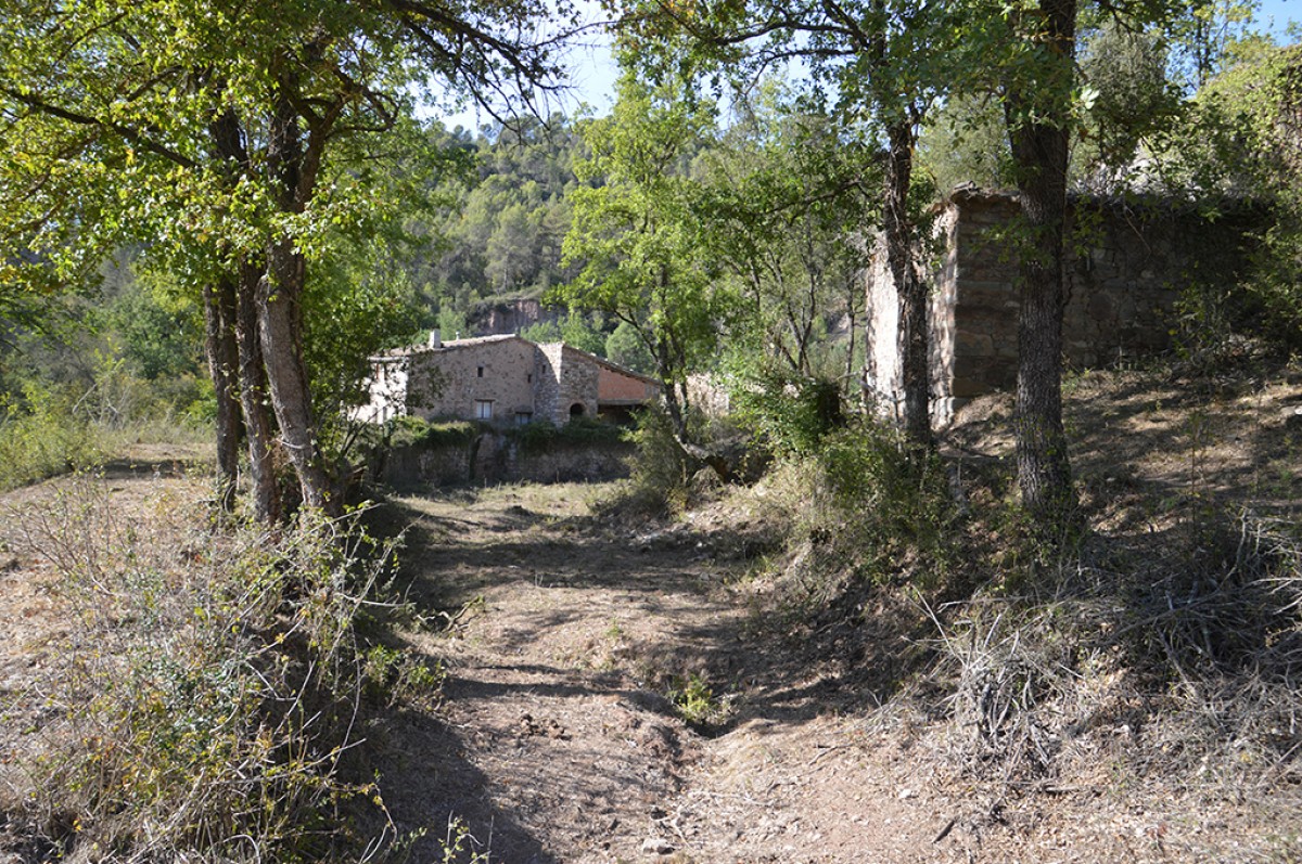 Imatge il·lustrativa