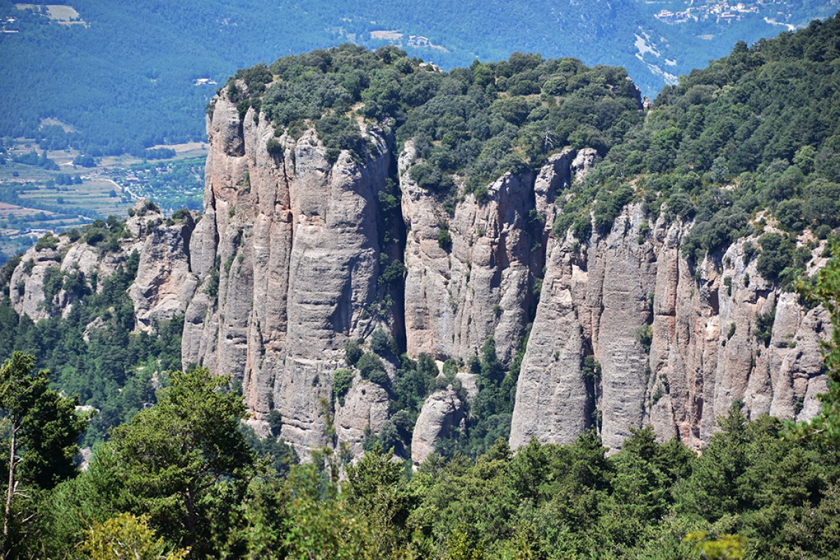 Imatge il·lustrativa