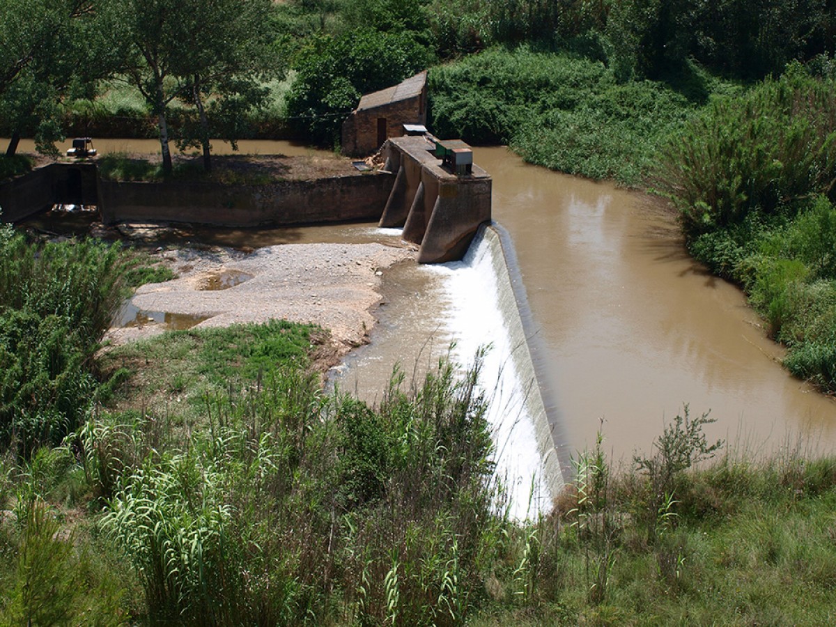 Imatge il·lustrativa