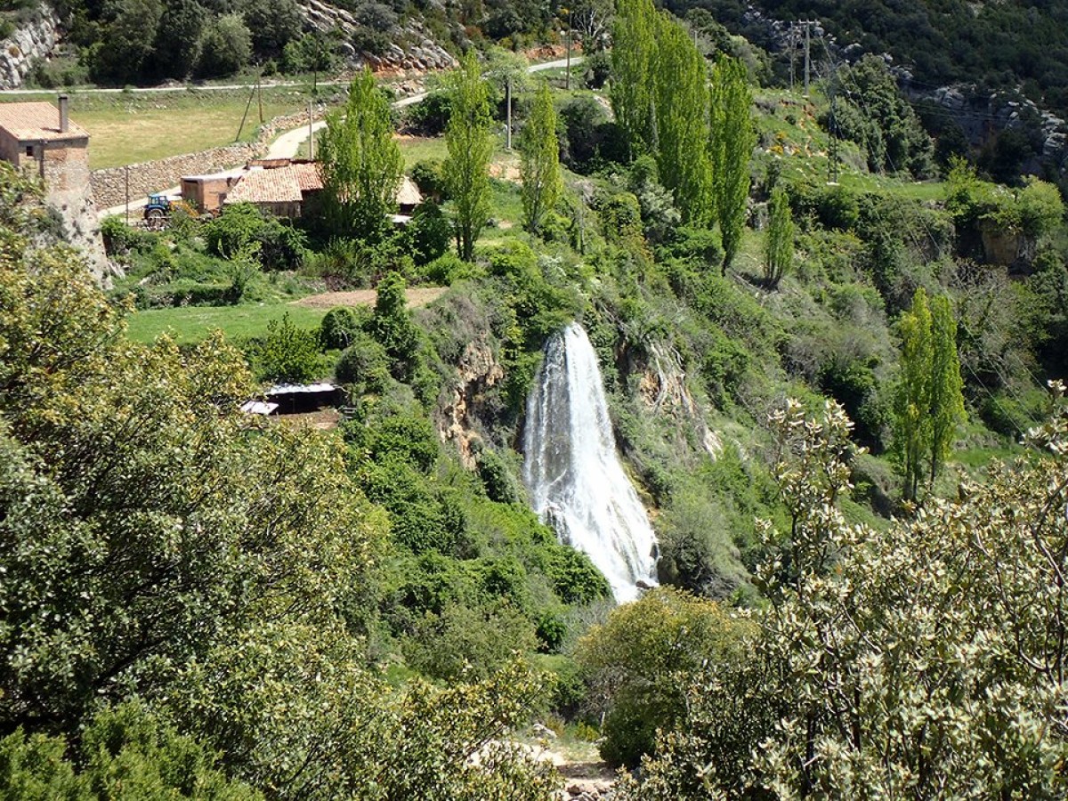 Imatge il·lustrativa