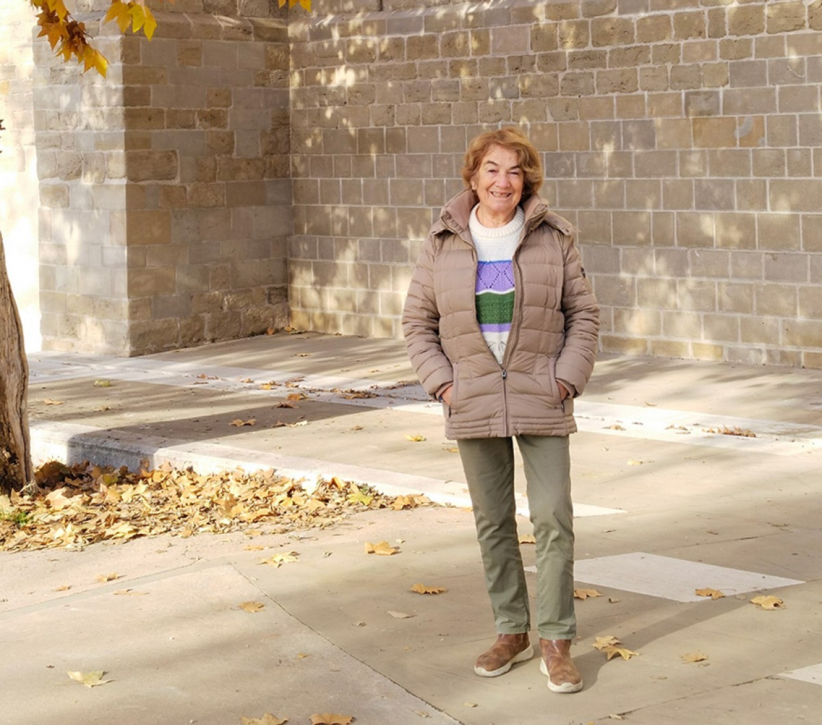 Imatge il·lustrativa