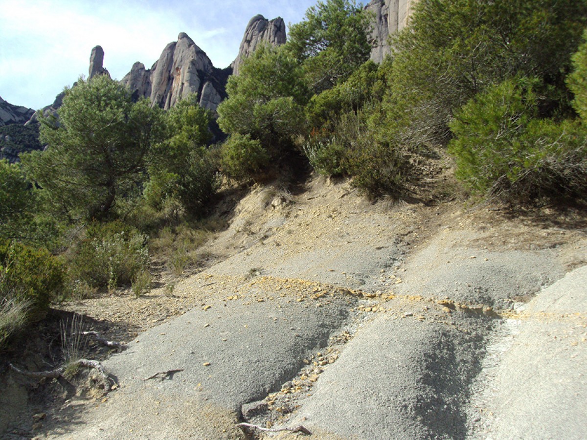 Imatge il·lustrativa