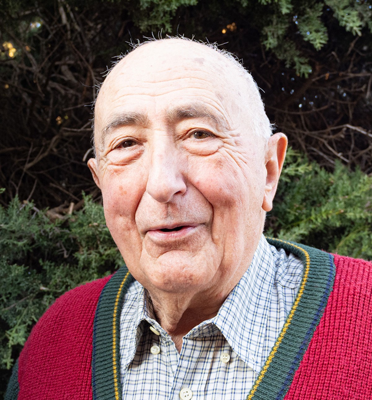 Imatge il·lustrativa