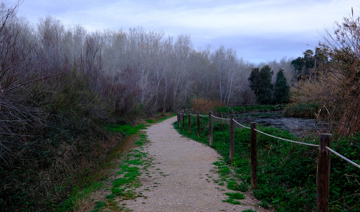Imatge il·lustrativa