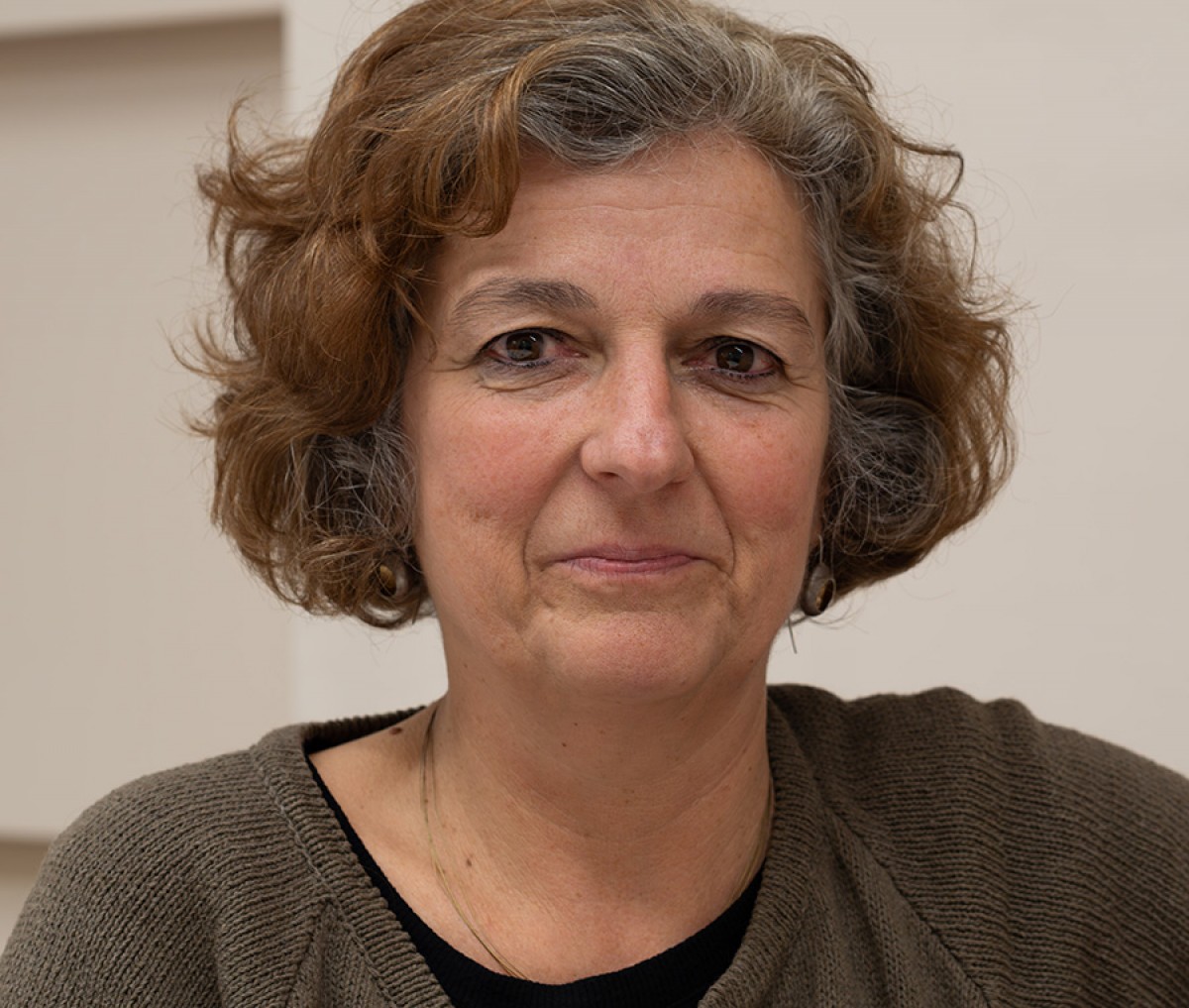 Imatge il·lustrativa