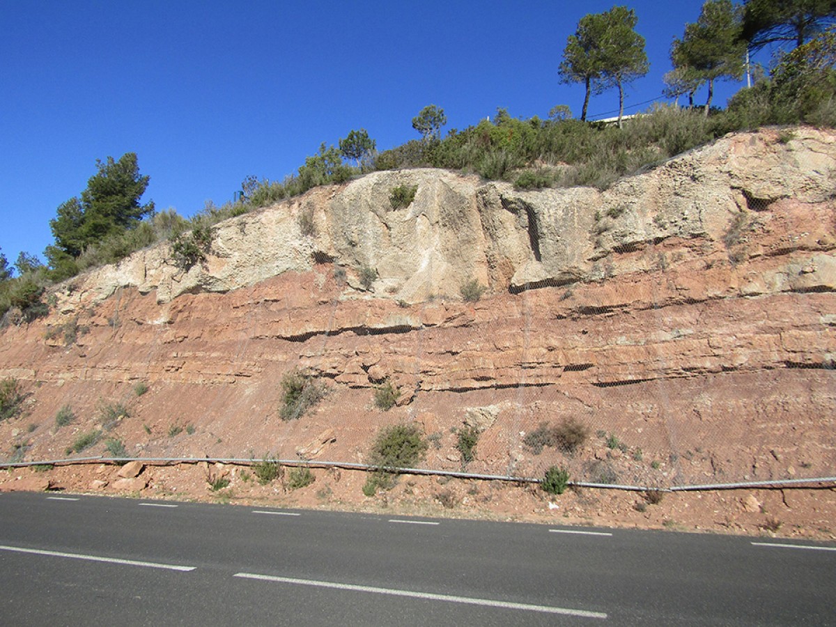 Imatge il·lustrativa