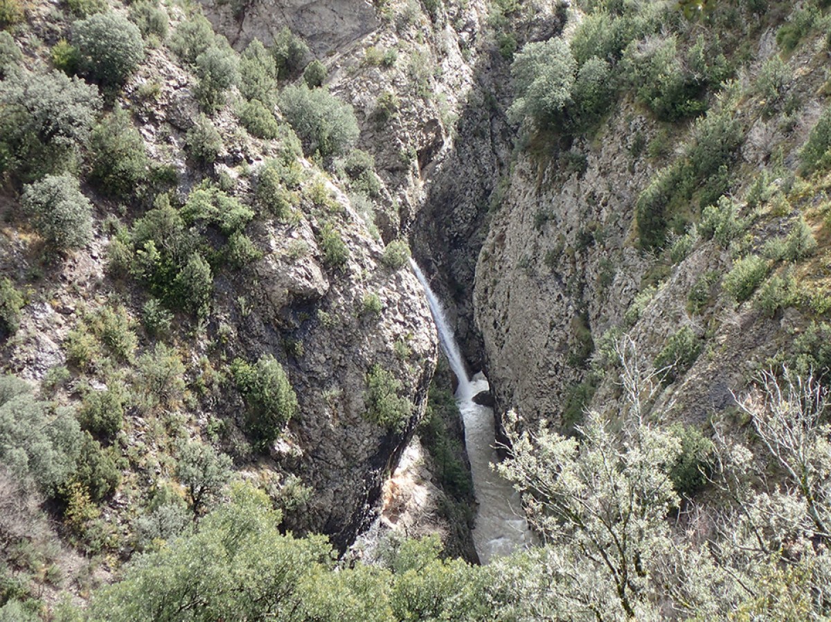 Imatge il·lustrativa