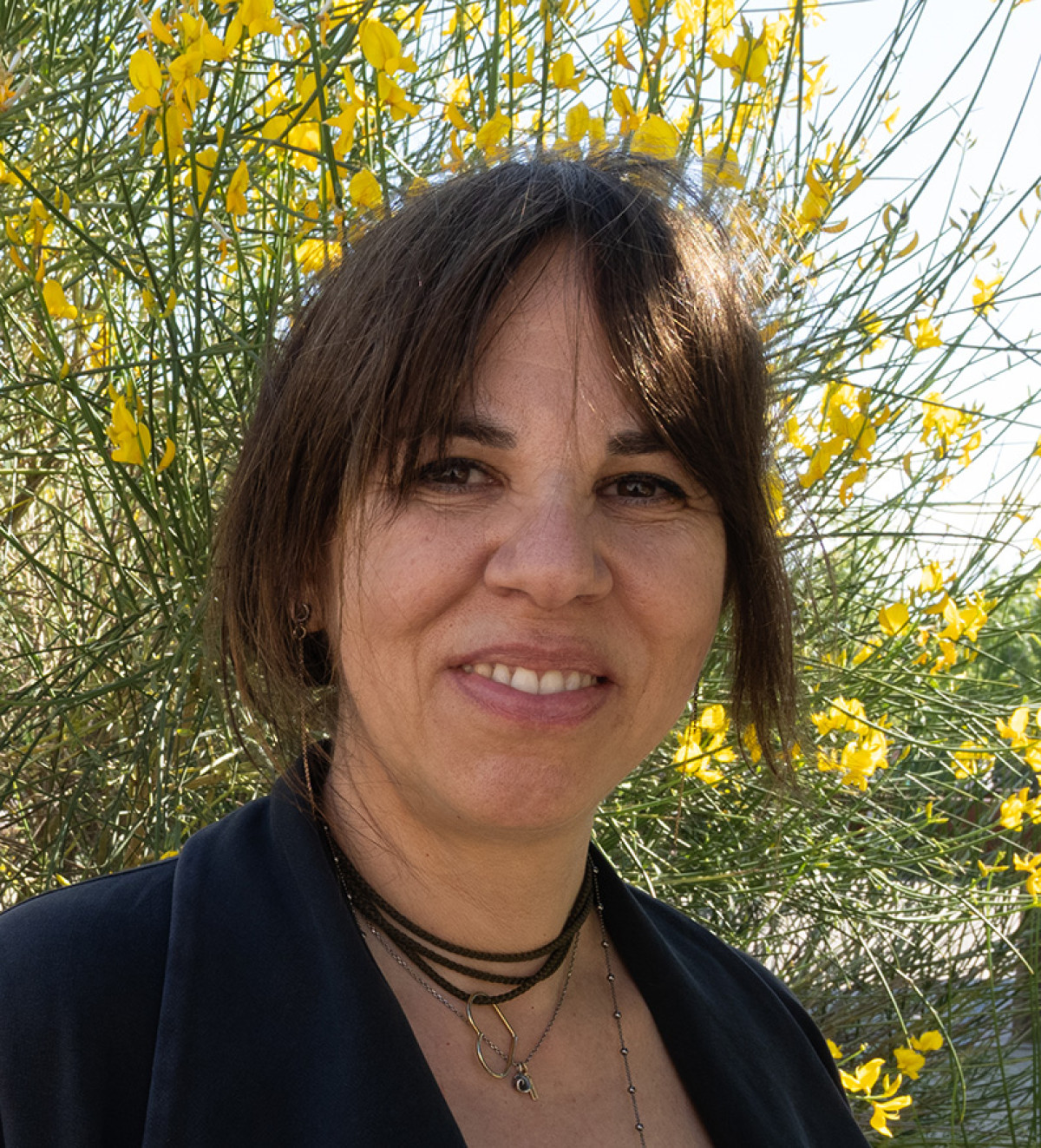 Imatge il·lustrativa