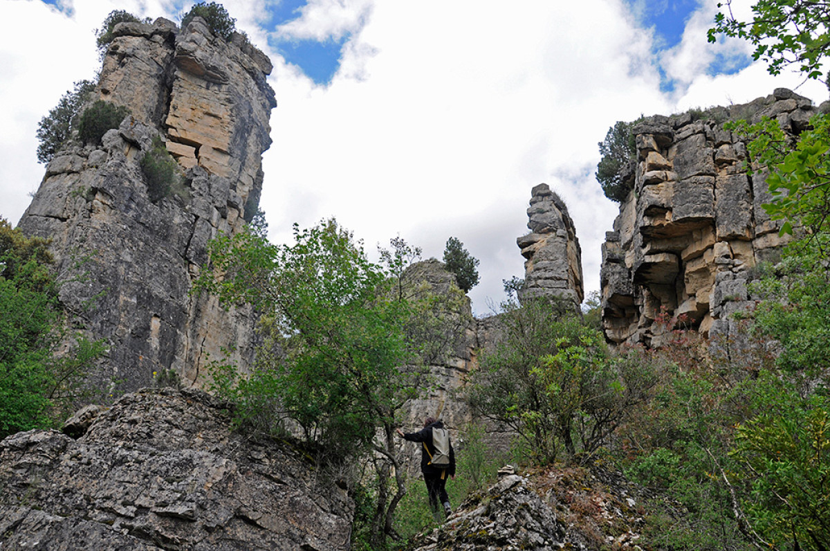 Imatge il·lustrativa