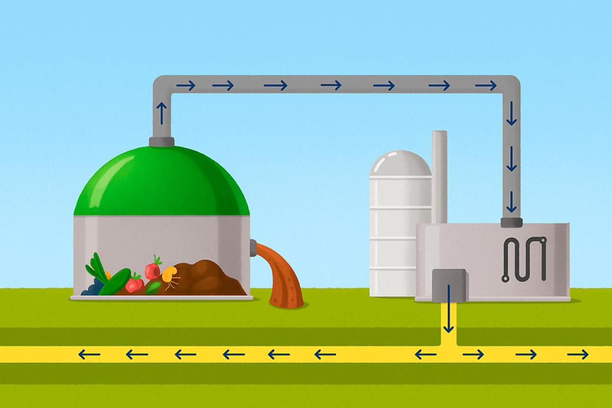 Imatge il·lustrativa