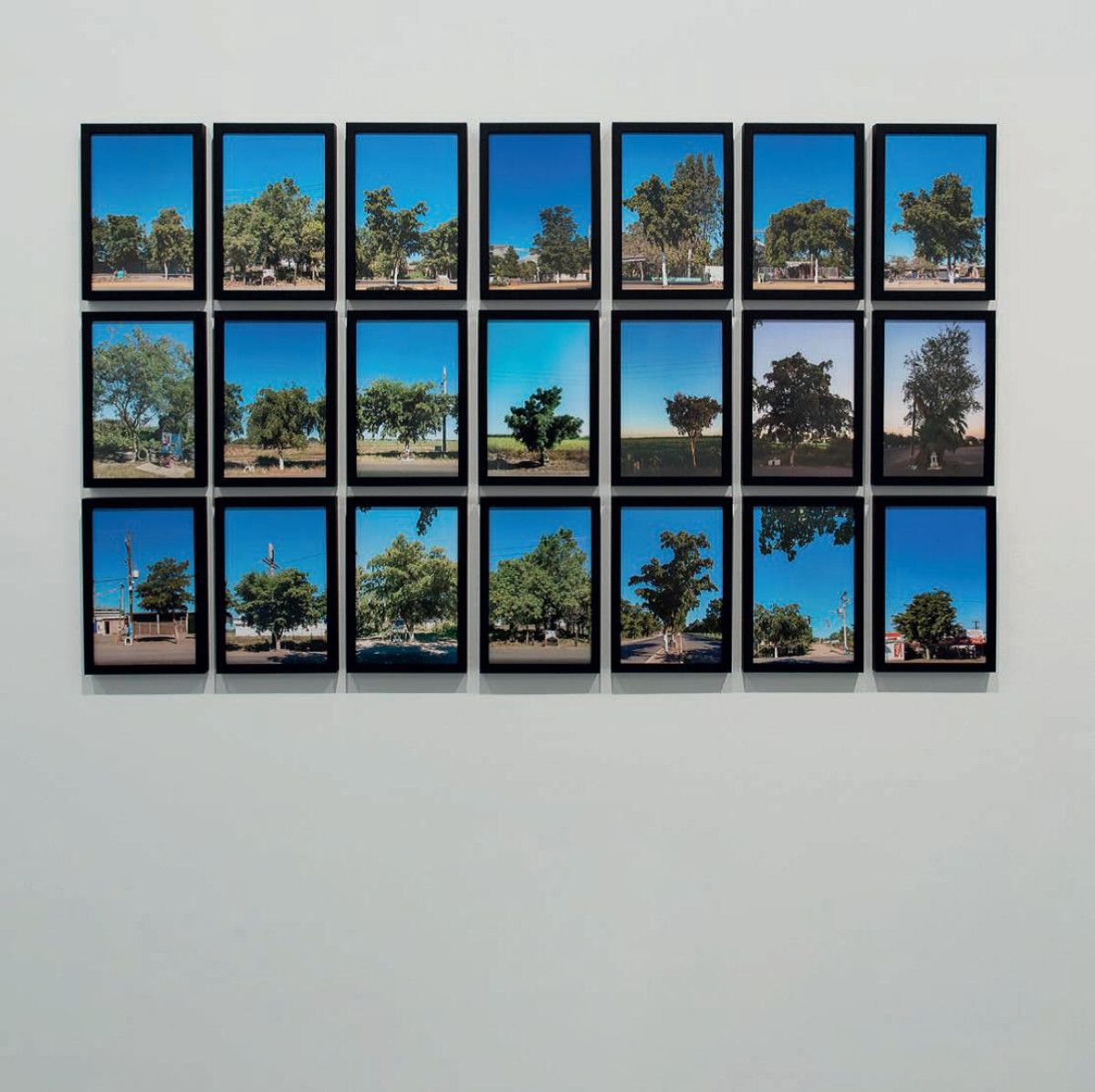 Imatge il·lustrativa