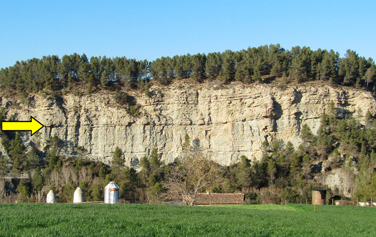 Imatge il·lustrativa