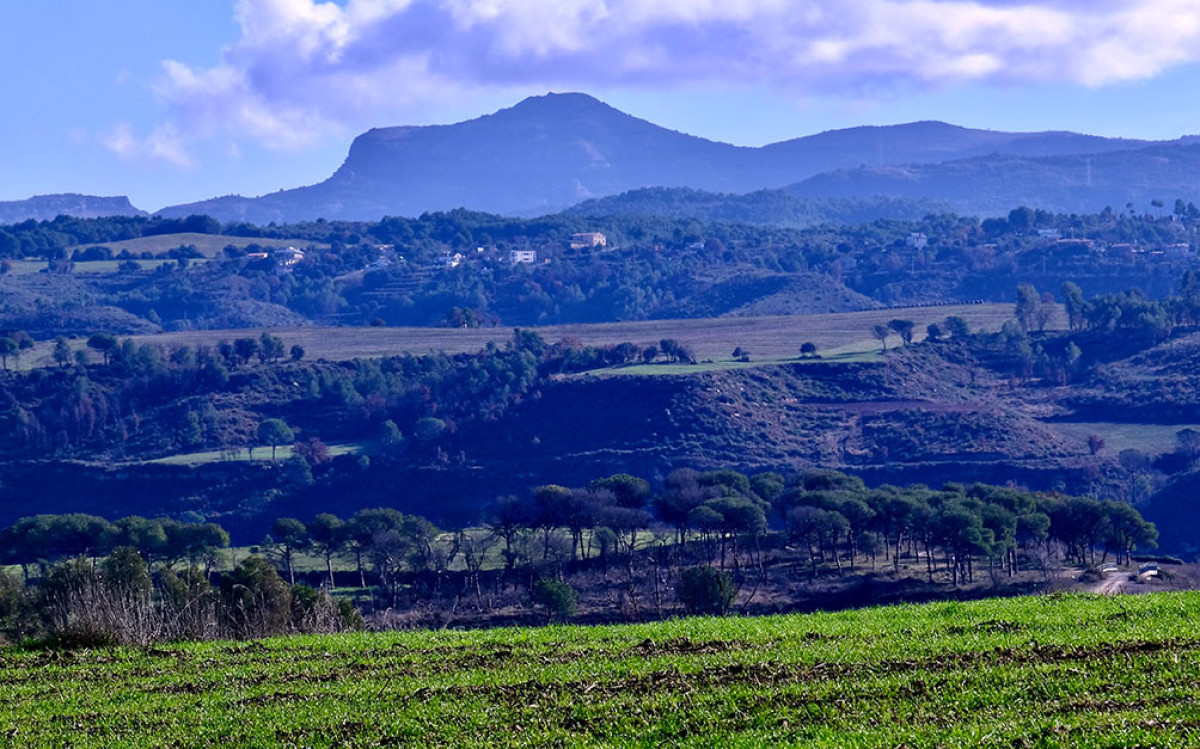 Foto: Ignasi Cebrian