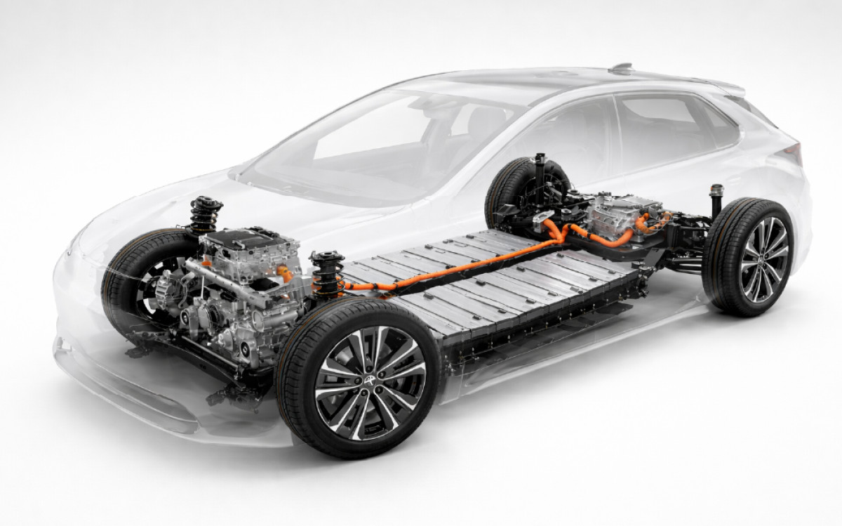 Foto: Banc d'imatges