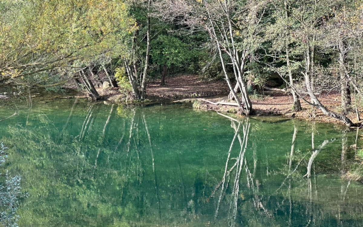 Imatge il·lustrativa