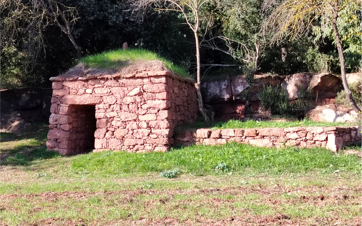 Imatge il·lustrativa