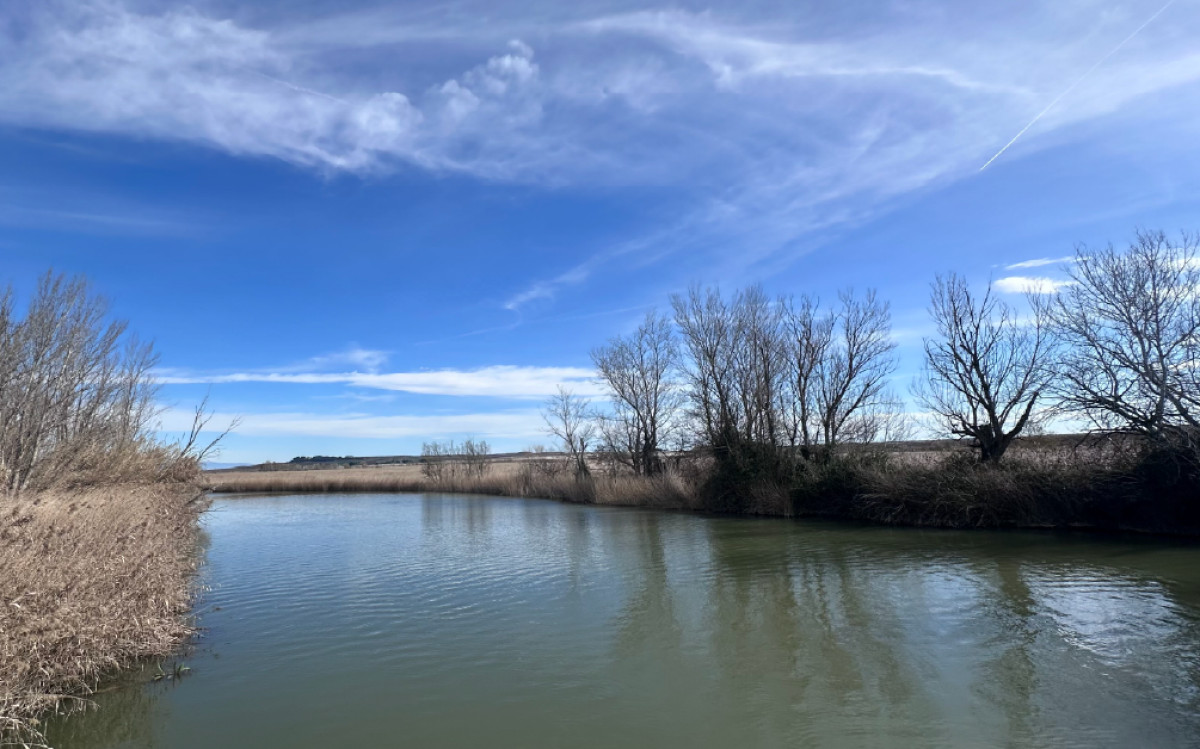 Imatge il·lustrativa