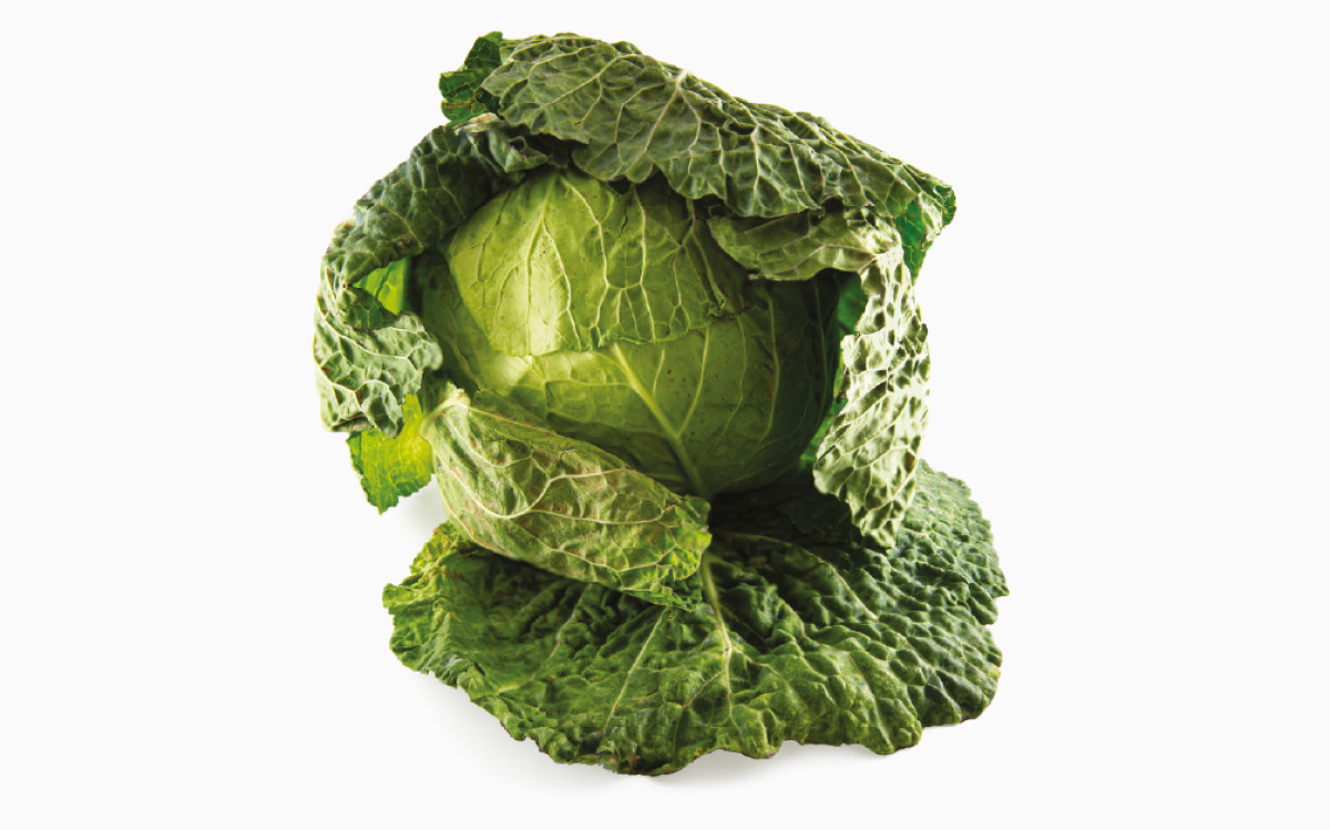 Imatge il·lustrativa