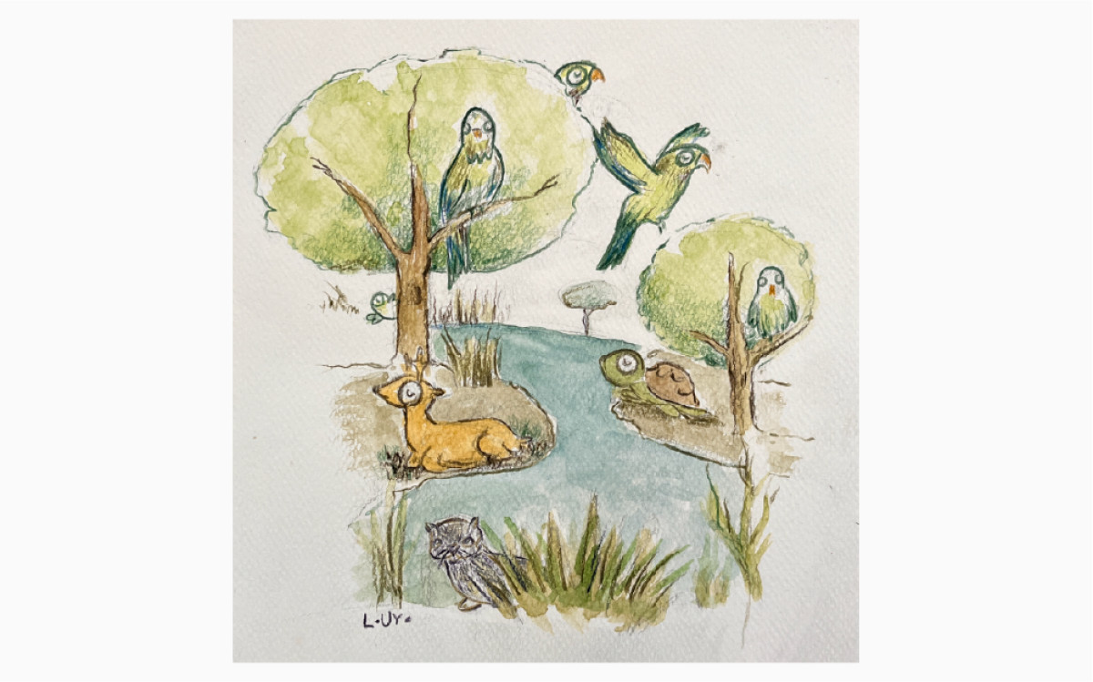 Imatge il·lustrativa